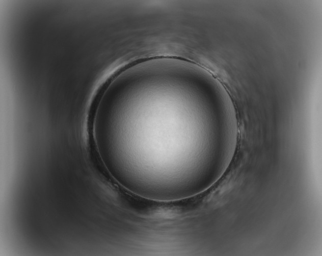 X0000092220248200709141050