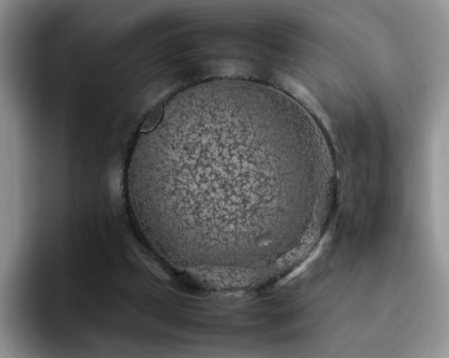 X0000092220249200709141050