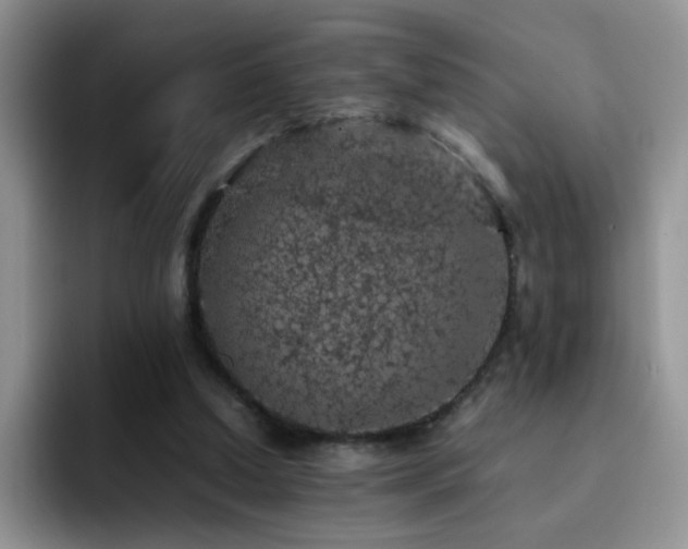 X0000092220250200709141050