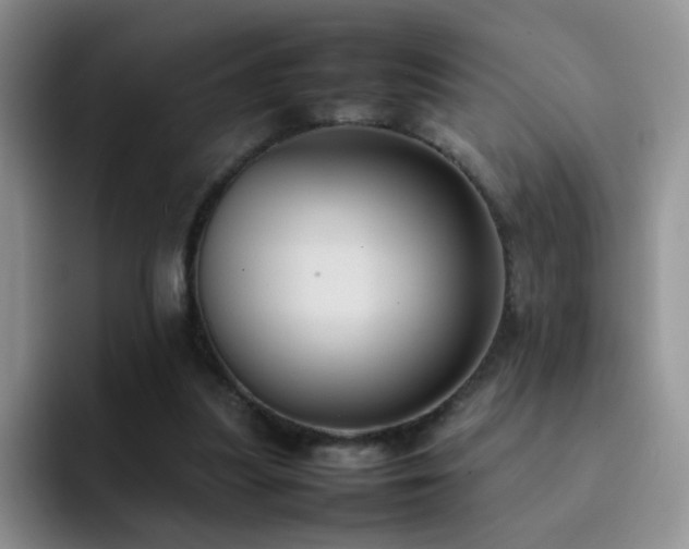 X0000092220251200709141050