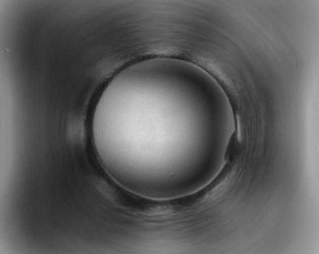 X0000092220252200709141050