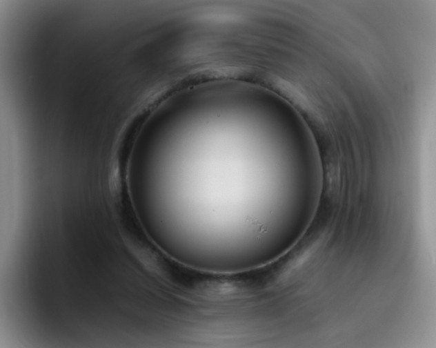 X0000092220254200709141050