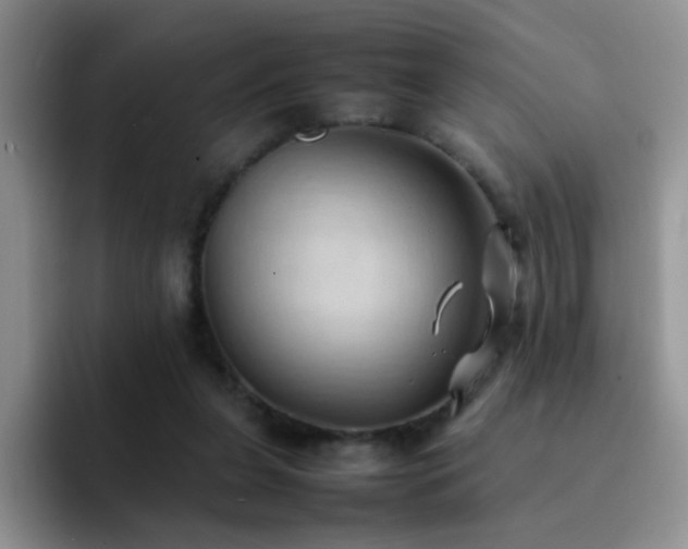 X0000092220255200709141050