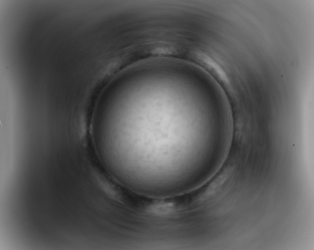 X0000092220257200709141050