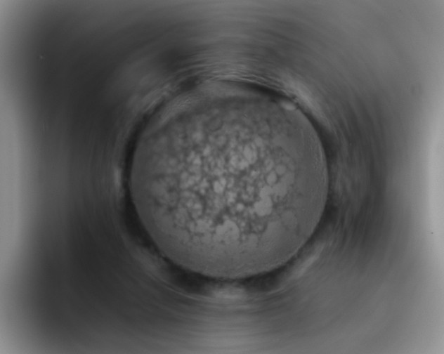 X0000092220258200709141050