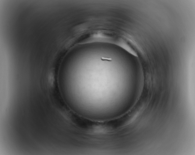 X0000092220259200709141050