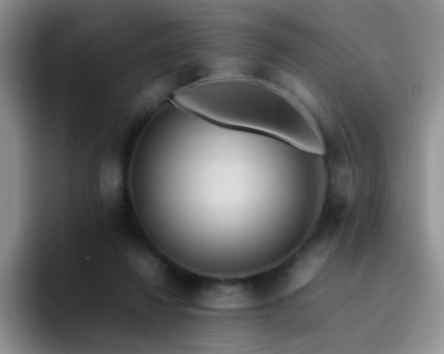X0000092220260200709141050