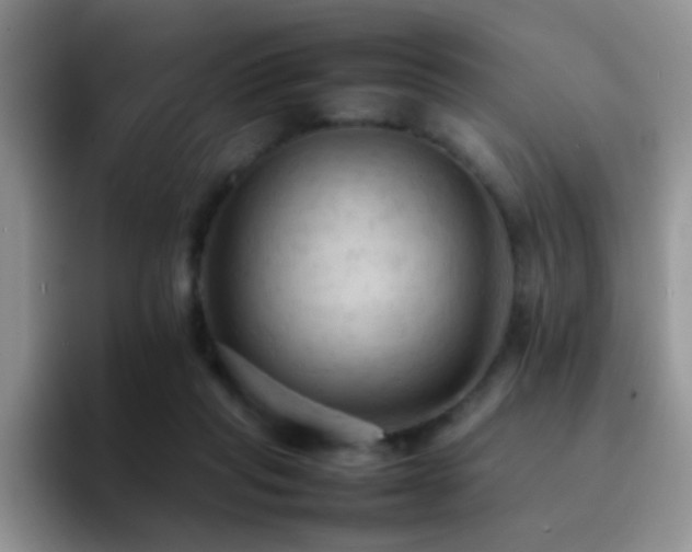 X0000092220261200709141050