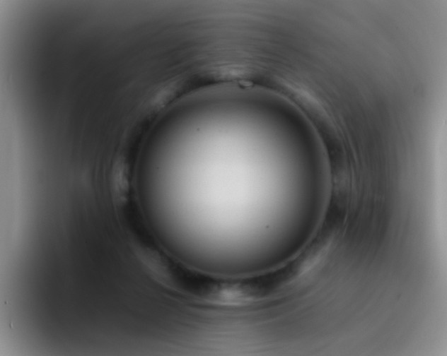 X0000092220264200709141050