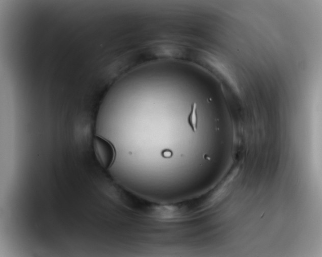 X0000092220265200709141050