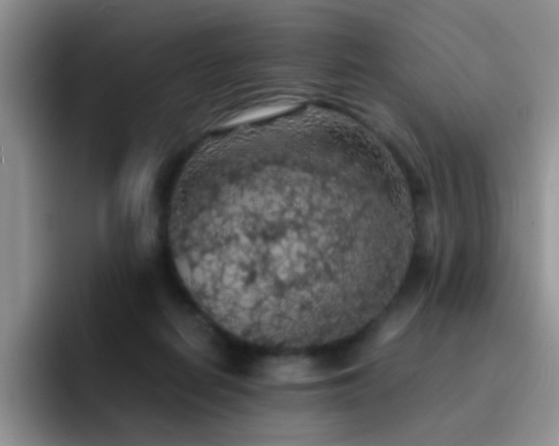 X0000092220266200709141050