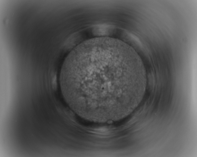 X0000092220267200709141050