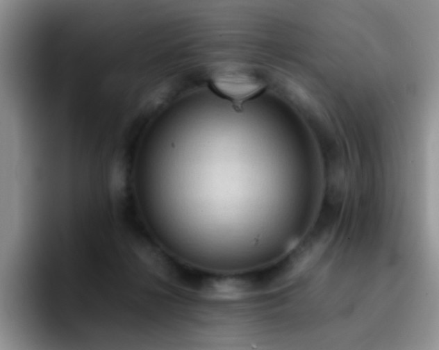 X0000092220268200709141050