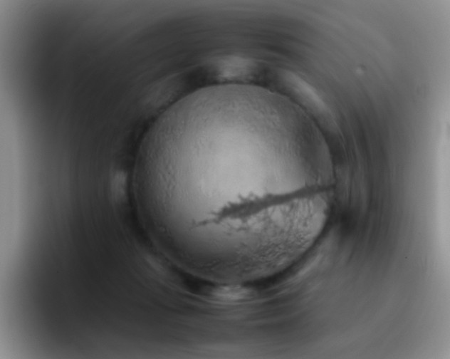 X0000092220269200709141050
