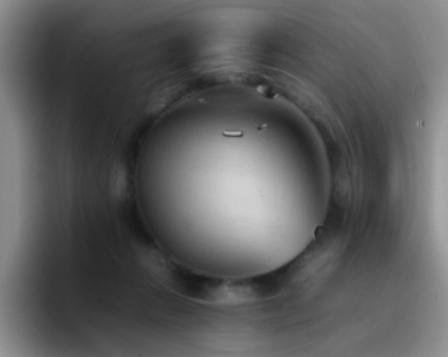 X0000092220270200709141050