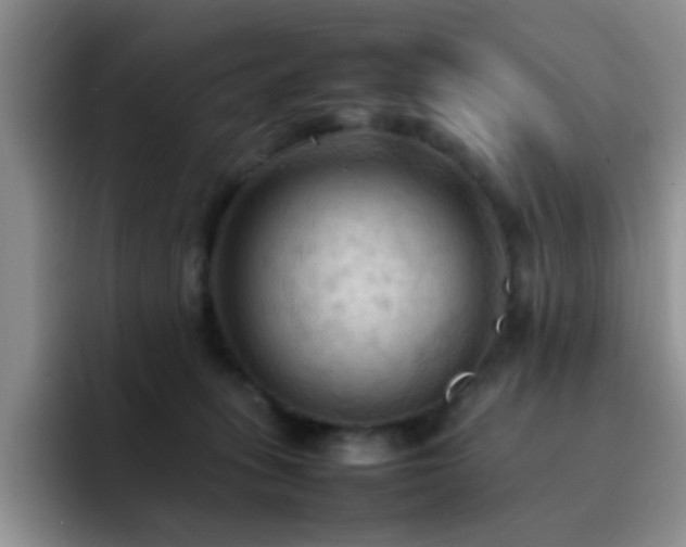 X0000092220275200709141050