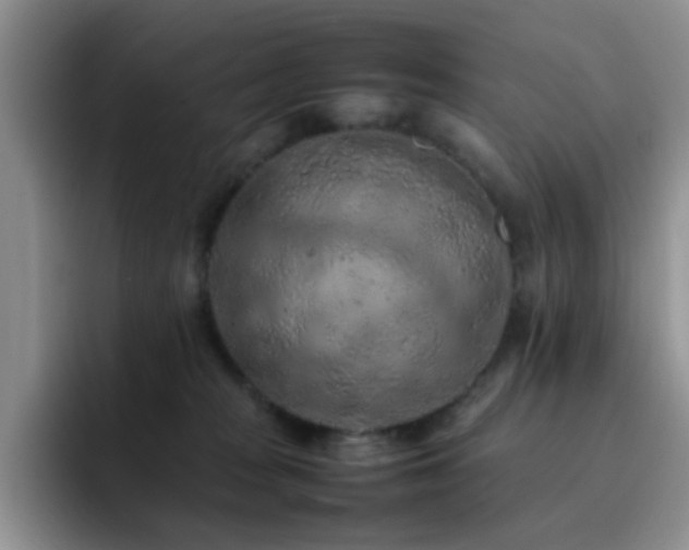 X0000092220277200709141050