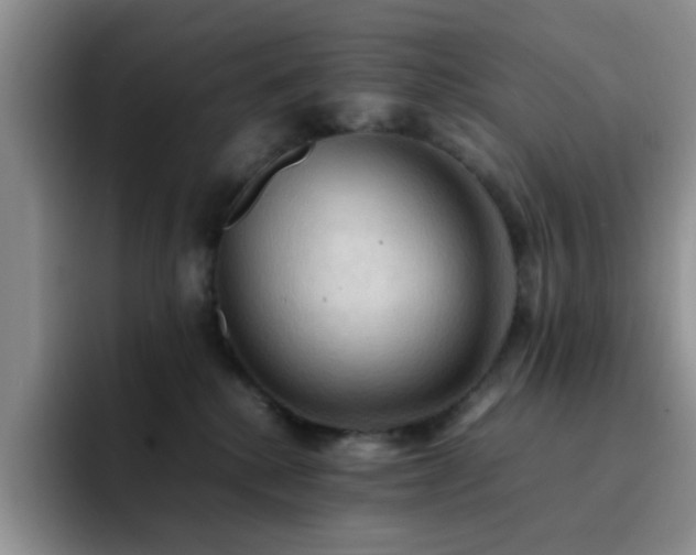 X0000092220280200709141050