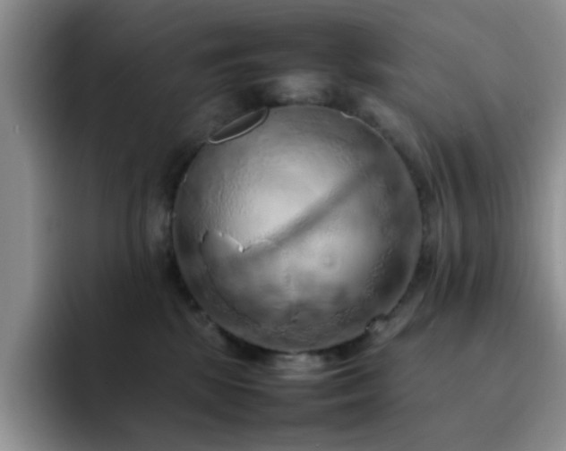X0000092220281200709141050