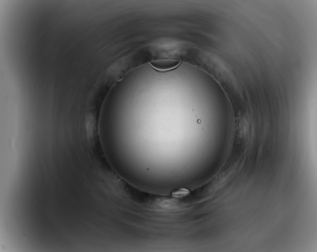 X0000092220283200709141050