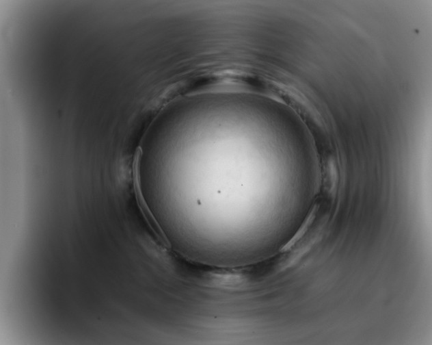 X0000092220284200709141050