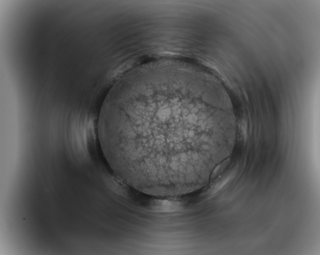 X0000092220286200709141050
