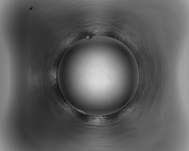 X0000092220288200709141050