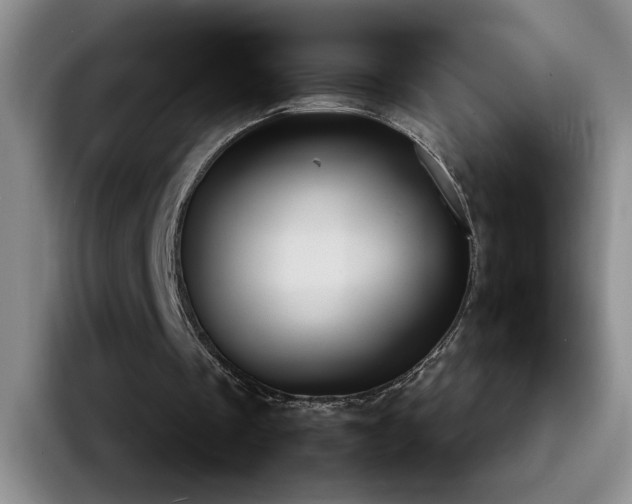 X0000092220289200709141049