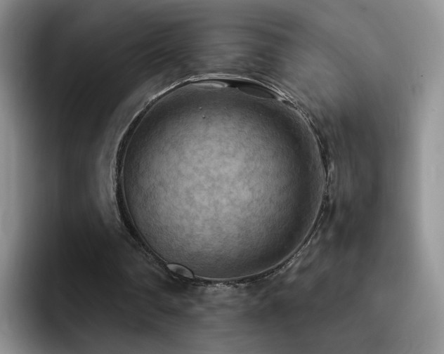 X0000092220290200709141049