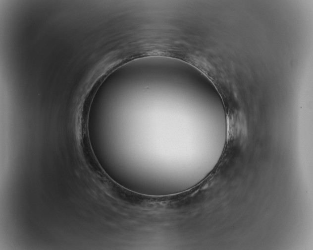 X0000092220291200709141049