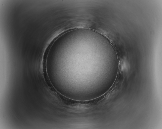 X0000092220292200709141049