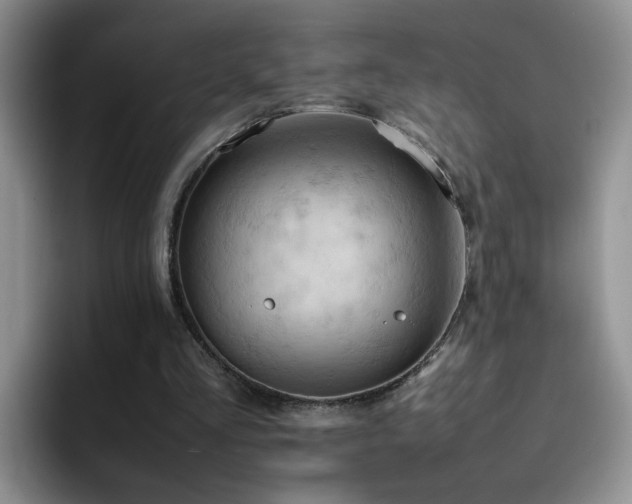 X0000092220293200709141049