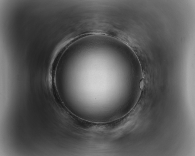 X0000092220294200709141049