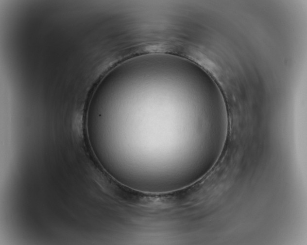 X0000092220297200709141049