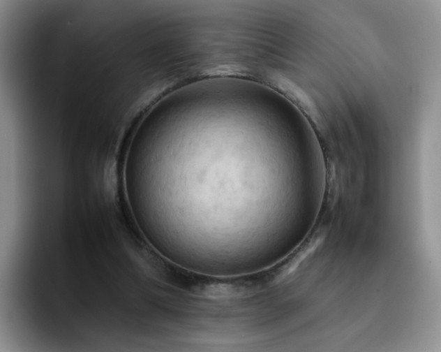 X0000092220298200709141049