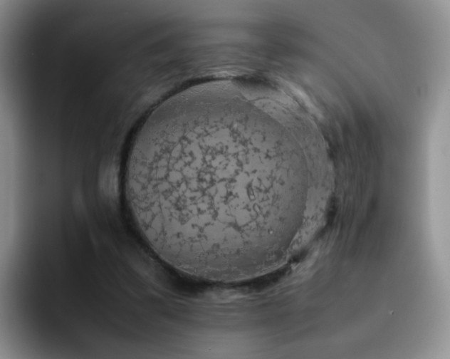X0000092220299200709141049