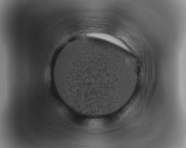 X0000092220303200709141049