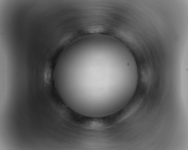 X0000092220308200709141049