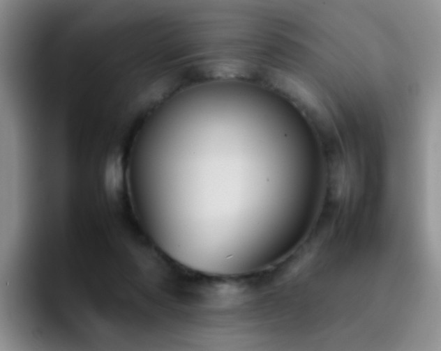 X0000092220310200709141049