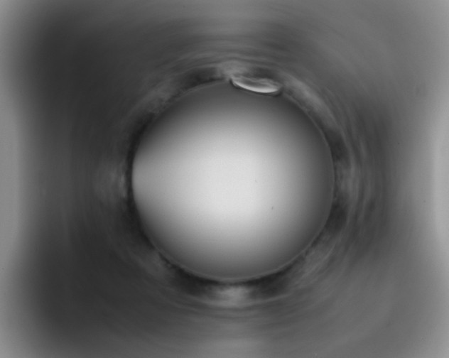 X0000092220313200709141049