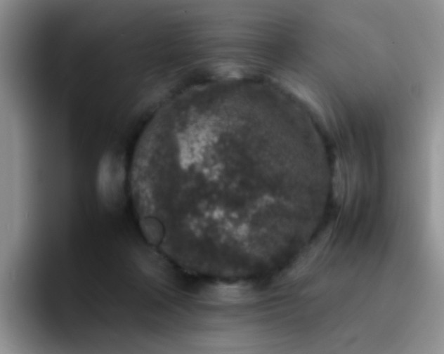 X0000092220314200709141049