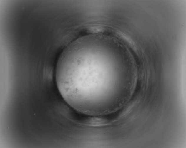 X0000092220315200709141049