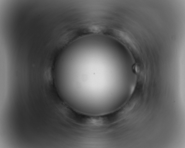 X0000092220317200709141049