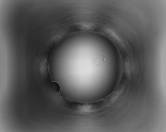 X0000092220318200709141049