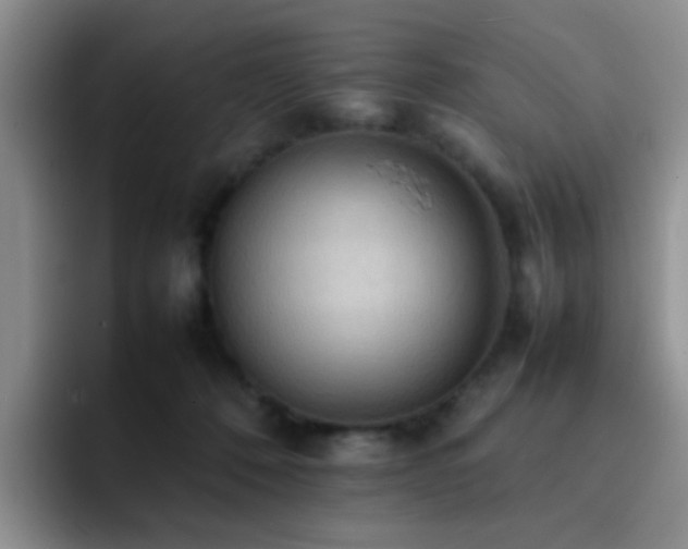 X0000092220320200709141049