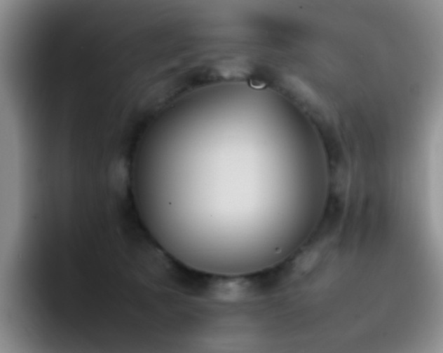 X0000092220321200709141049