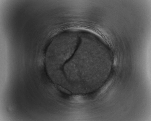 X0000092220325200709141049