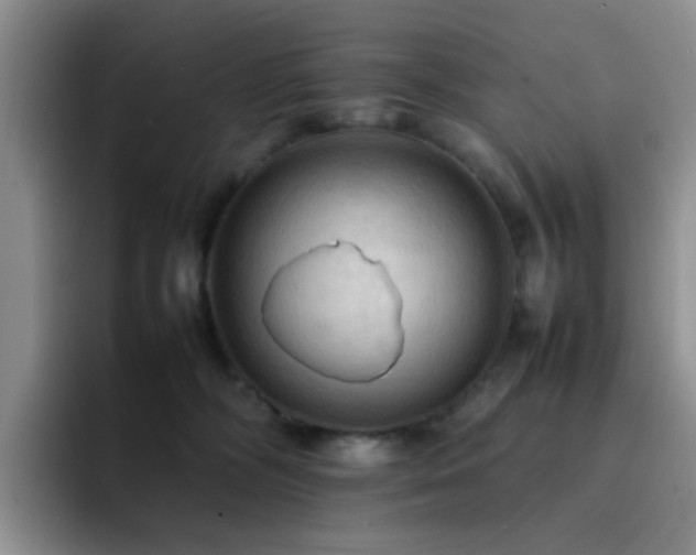 X0000092220326200709141049