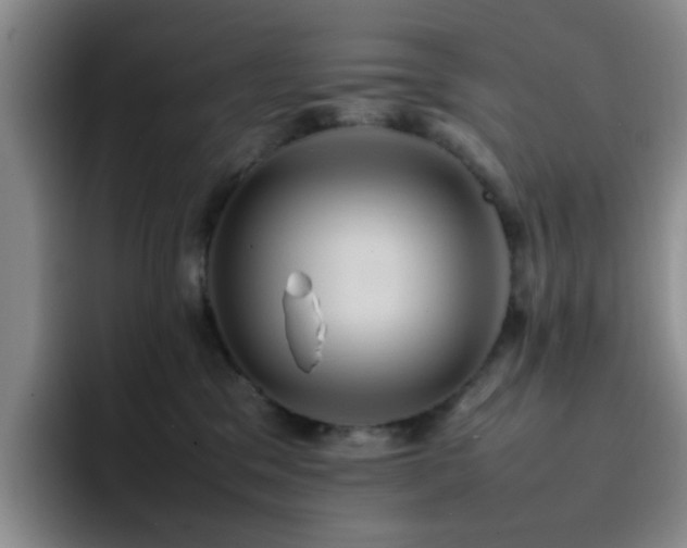 X0000092220329200709141049