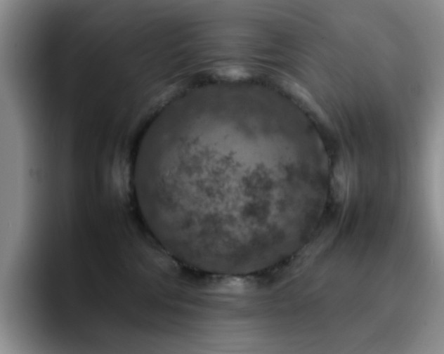 X0000092220330200709141049